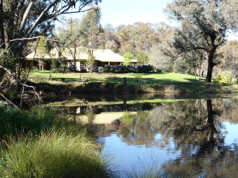 Wildwood Guesthouse - Accommodation Kalgoorlie 3