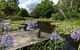 Yellow Dog Cottage - thumb 6