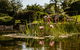 Yellow Dog Cottage - thumb 8