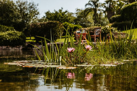 Yellow Dog Cottage - Accommodation Kalgoorlie 8