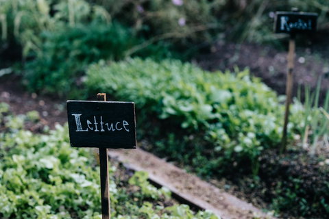 Acre Of Roses - Accommodation Kalgoorlie 9