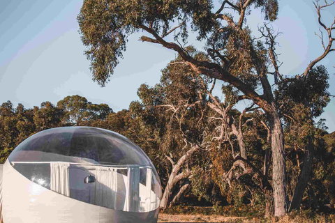 Coonawarra Bubble Tents - Accommodation Kalgoorlie 0