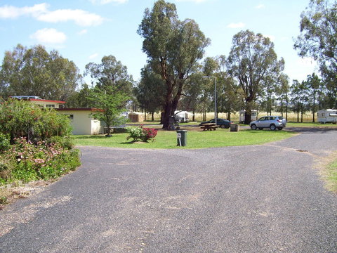 Dunedoo Caravan Park - Accommodation Kalgoorlie 2