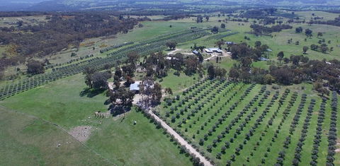 L'Oliveraie - Accommodation Kalgoorlie 6