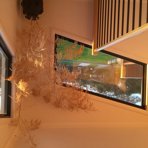 Barefoot Beach Stays - Accommodation Kalgoorlie 1