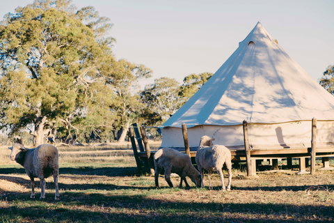 Bellwether Wines - Accommodation Kalgoorlie 2