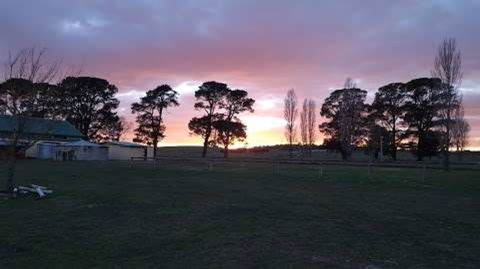 Braidwood Showground - Caravans And Camping - Accommodation Kalgoorlie 0