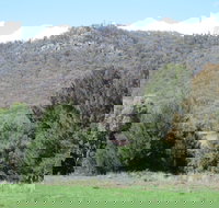 Jessica's Guest House and Vineyard - Accommodation Kalgoorlie