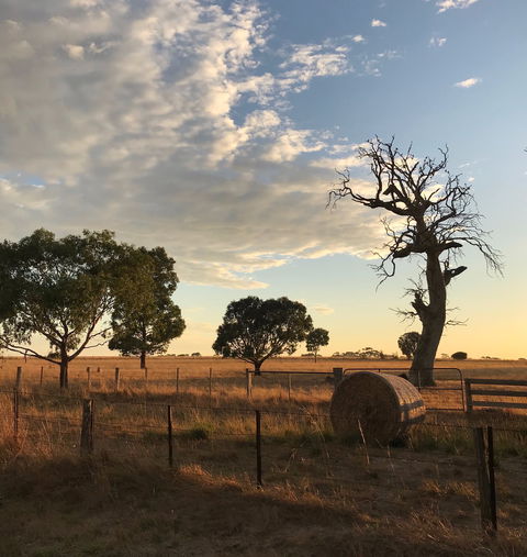 Rocklea Farm - Accommodation Kalgoorlie 0