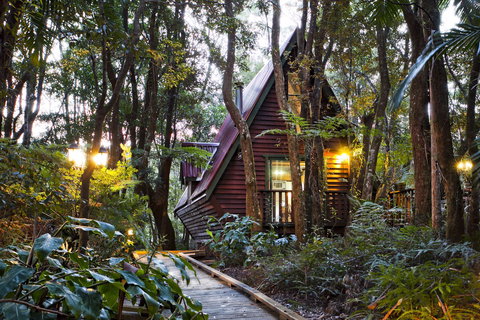 The Mouses House - Rainforest Retreat - Accommodation Kalgoorlie 2