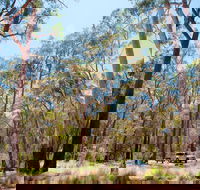 Coolah Tops National Park Camping - Accommodation Kalgoorlie