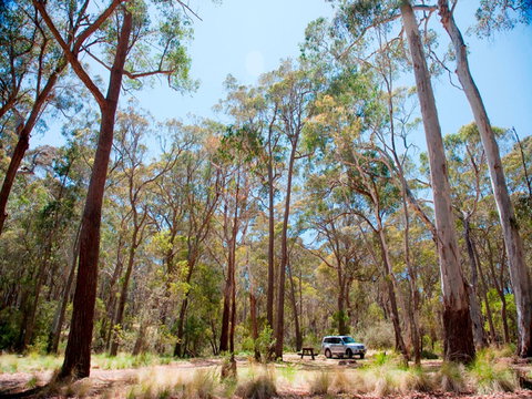 Coolah Tops National Park Camping - Accommodation Kalgoorlie 0