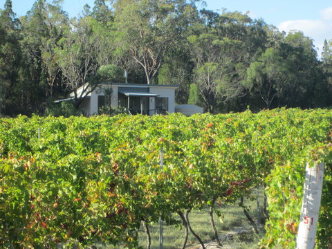 Just Red Wines Vineyard Cabins - Accommodation Kalgoorlie 0