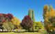 Lockhart Caravan Park - thumb 1