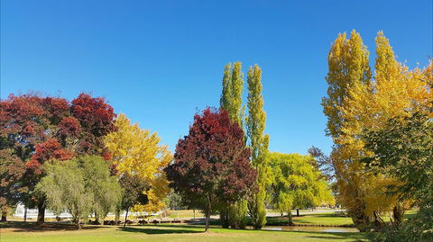 Lockhart Caravan Park - Accommodation Kalgoorlie 1