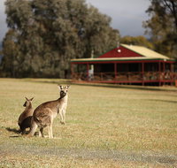 The Pokolbin Cabins - Accommodation Kalgoorlie