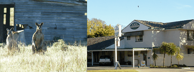 Acacia Motor Inn - Accommodation Kalgoorlie 5