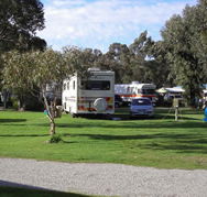 Pinjarra Caravan Park - Accommodation Kalgoorlie