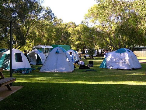 BIG4 Peppermint Caravan Park - Accommodation Kalgoorlie 7