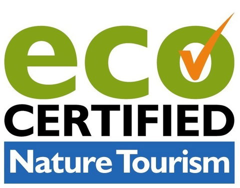 BIG4 Peppermint Caravan Park - Accommodation Kalgoorlie 11