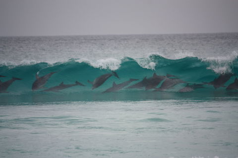 Bremer Bay Caravan Park - Accommodation Kalgoorlie 1