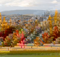 City Centre Motor Inn - Accommodation Kalgoorlie