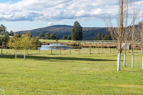 Highland Caravan Park - Accommodation Kalgoorlie 1