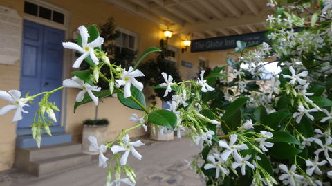 The Globe Inn - Accommodation Kalgoorlie 1