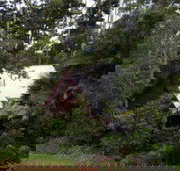 Turkeys Nest Rainforest Cottages Mt Glorious - Accommodation Kalgoorlie