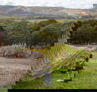 131 - Heart of the Vale - Accommodation Kalgoorlie