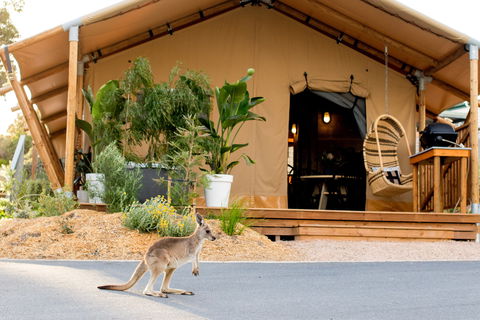 BIG4 Anglesea Holiday Park - Accommodation Kalgoorlie 2