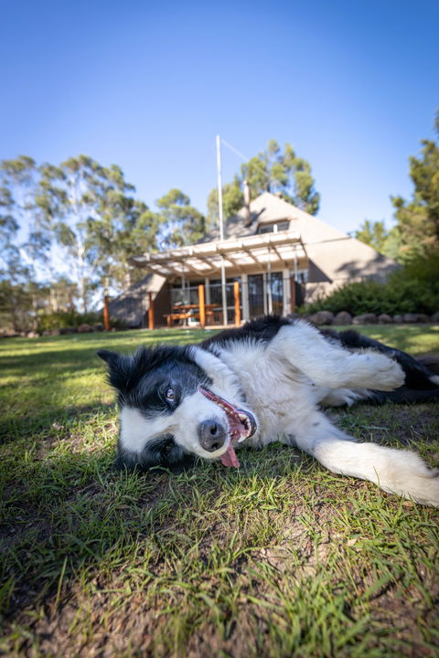Grampians Getaway - Accommodation Kalgoorlie 0