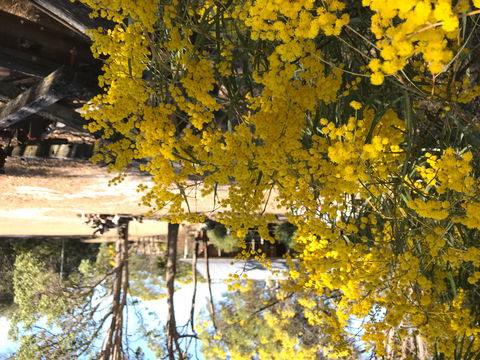 Possum's Hollow And Hooter's Hut - Accommodation Kalgoorlie 1