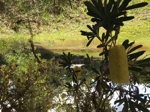 Possum's Hollow And Hooter's Hut - Accommodation Kalgoorlie 2