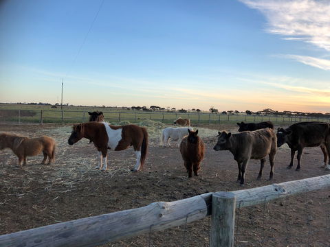 Tarnasey Farm - Pa's Place - Accommodation Kalgoorlie 1
