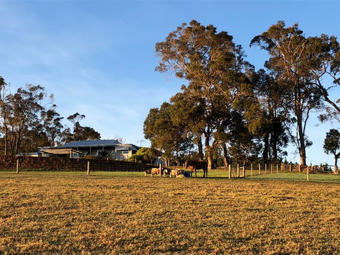 Great Southern Outback Tours & Accommodation - Accommodation Kalgoorlie 2