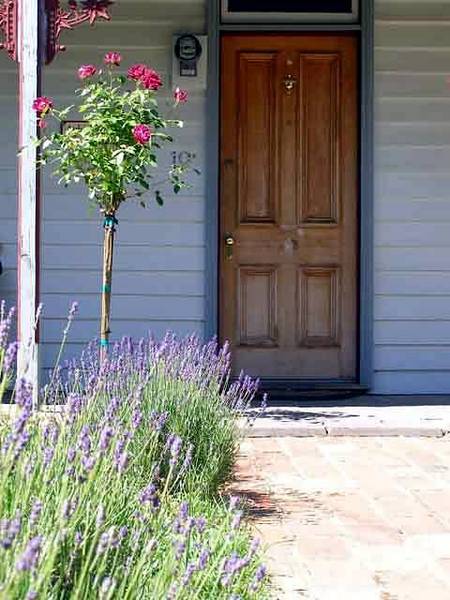 Airleigh - Rose Cottage - Accommodation Kalgoorlie 2