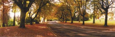 La Trobe At Beechworth - Accommodation Kalgoorlie 0