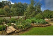 Peppermint Springs Retreat & Day Spa - Accommodation Kalgoorlie 2