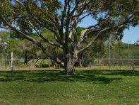 Hawks Nest Holiday Park - Accommodation Kalgoorlie 3