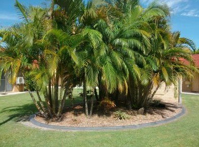 Yamba Motor Inn - Accommodation Kalgoorlie 5