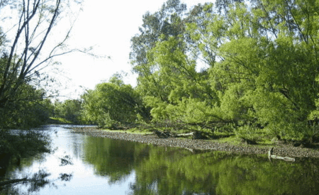 Ribbonwood Cottages - Accommodation Kalgoorlie