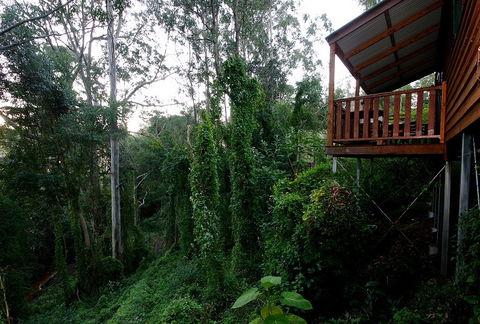Ravensbourne Forest Chalets - Accommodation Kalgoorlie 1
