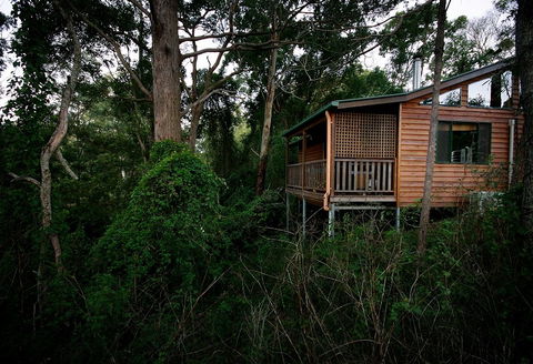 Ravensbourne Forest Chalets - Accommodation Kalgoorlie 4