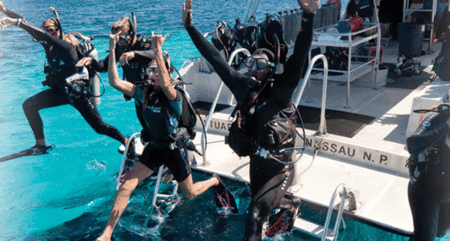 Snorkel Safari Brisbane - Accommodation Kalgoorlie