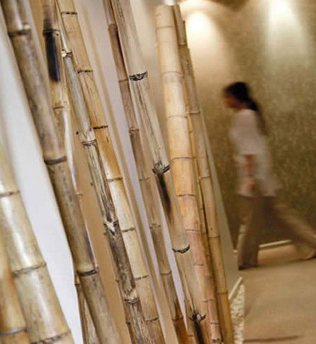 Spa Nirvana - Accommodation Kalgoorlie 0