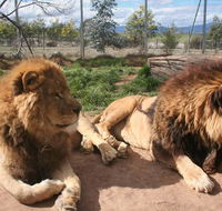 Mansfield Zoo - Accommodation Kalgoorlie