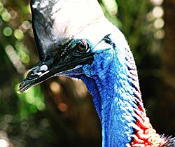 Alma Park Zoo - Accommodation Kalgoorlie 0