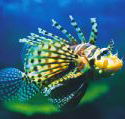 Underwater World - Accommodation Kalgoorlie