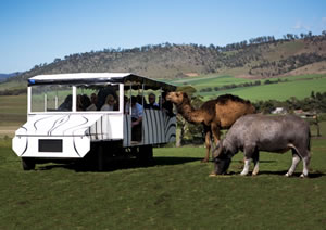 Zoo Doo Wildlife Park - Accommodation Kalgoorlie 2